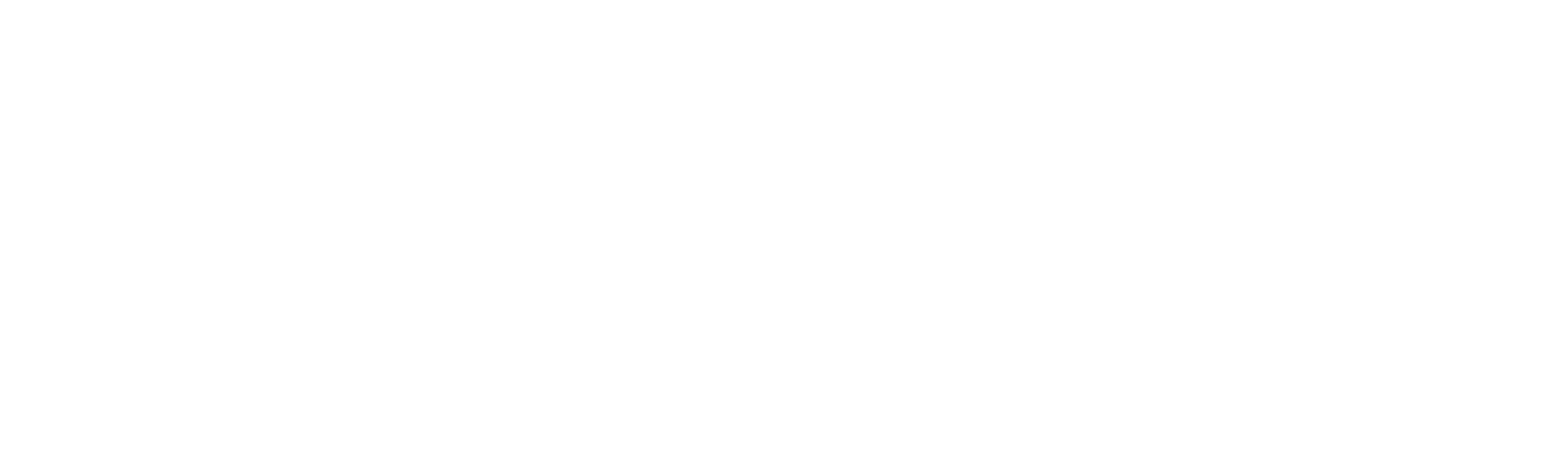 DienstNet